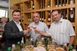  1. obletnica razglednega stolpa Vinarium Lendava